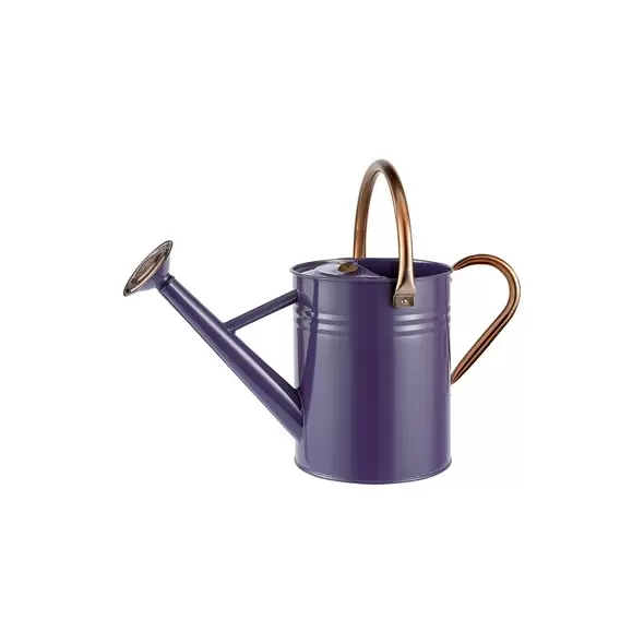 WSP 1 Gallon Watering Can w/ Copper Accents Deep Violet