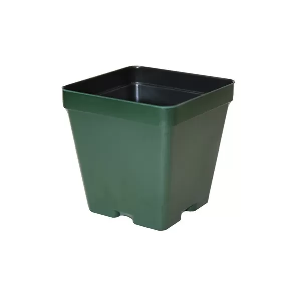 T. O. Plastics 04.50 Sq Pot Square Vacuum Traditional450 Green 375 Per Case Minimum Order Quantity Needed 84/Cs 700090C