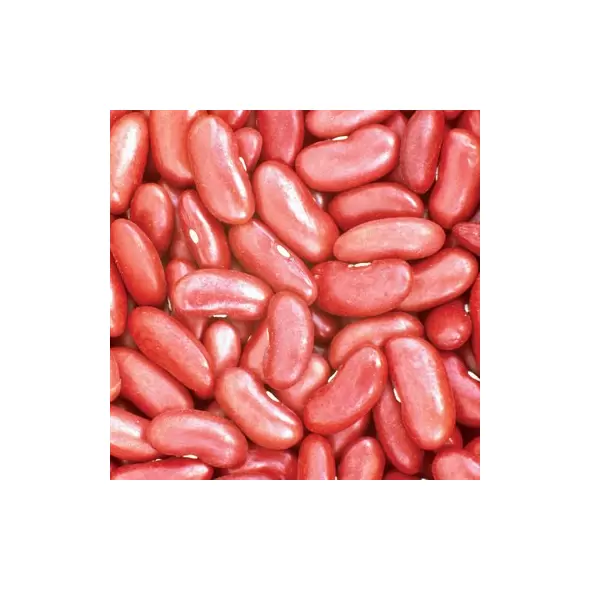 Beans, Red Kidney - 1/2lb
