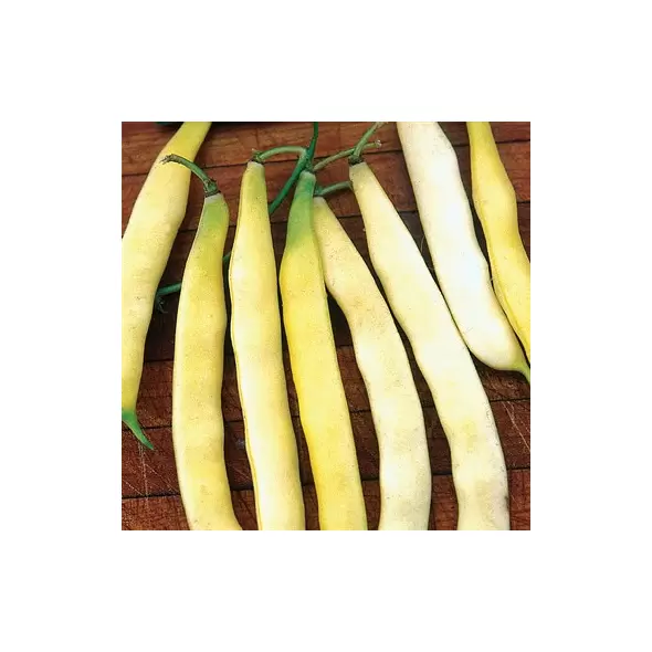 Beans, Topnotch Golden Wax - 1/2lb