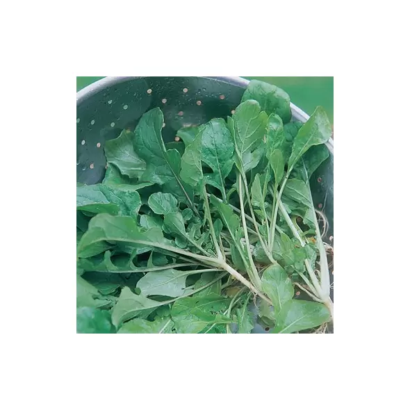 Turnips, Seven Top - 1lb