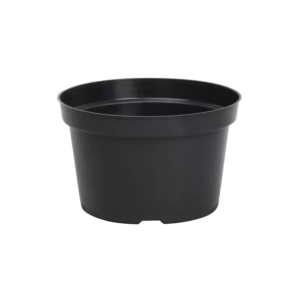 DLN 08.00X05.00 MUMPAN TW BLK 150/CS 50CS/PL