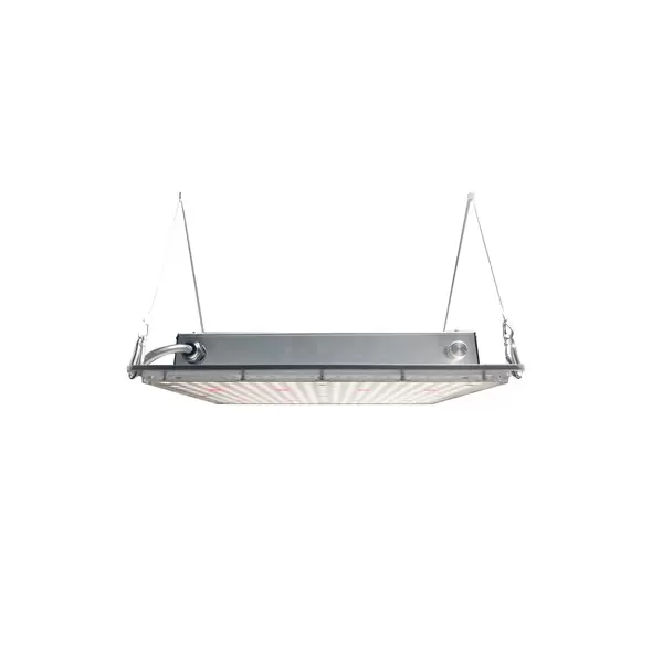 Hort2O 100W LED Grow Light