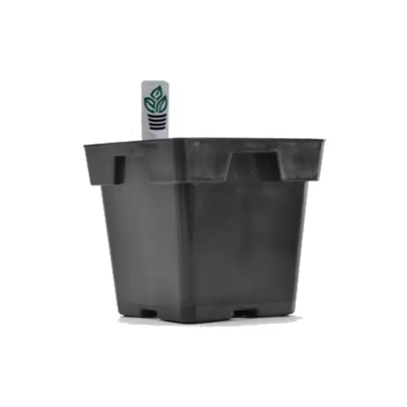 Belden Jumbo Square Tagspot Black 200/cs