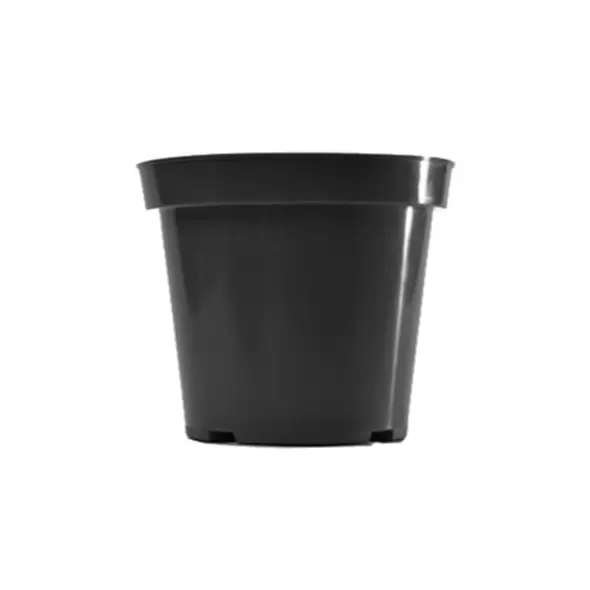 BLD 04.50 GERANIUM BLK 600/CS 49/PL 693405