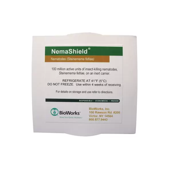 BioWorks NemaShield 100 Mil Pack (Direct) Steinernema feltia (2 packs of 50 mil each) (Fungus gnat, Shorefly, Thrips )