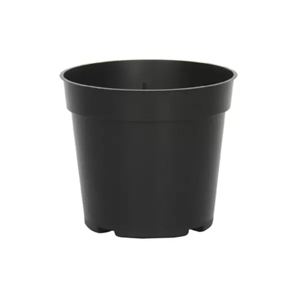 DLN 04.00 RND STD T/W BLK 1550/CS 28CS/PL