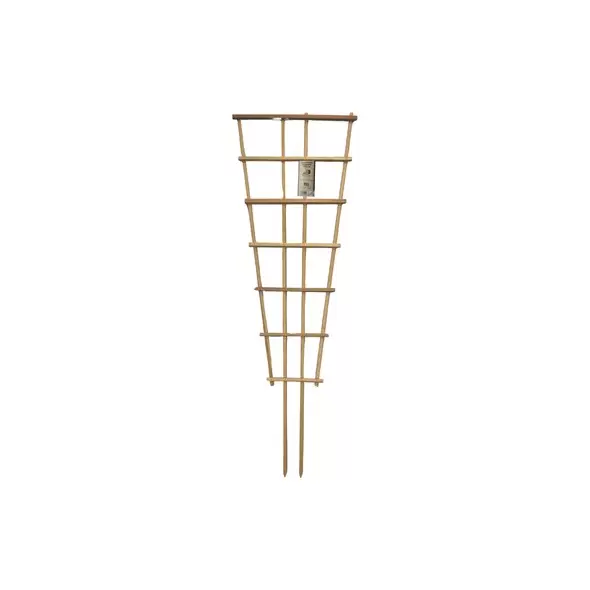 A&G 2.5'x7' Fan Espalier Trellis