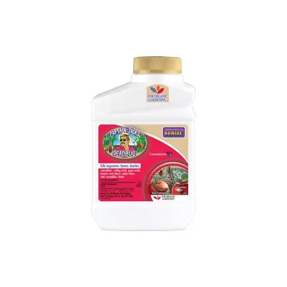 Captain Jacks Pt Dead Bug Brew Concentrate
