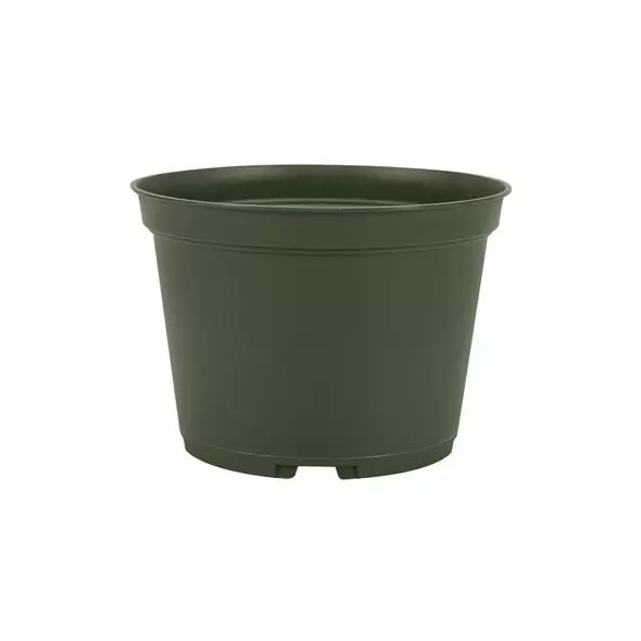 Dillen AZA0650 06.50 Round Azalea Pot Green 438 Per Case 32 Cases Per Pallet