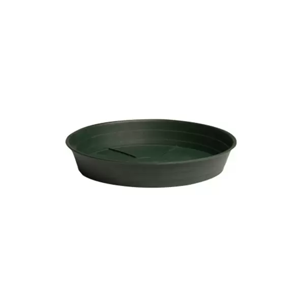HDF 12" Green Saucer