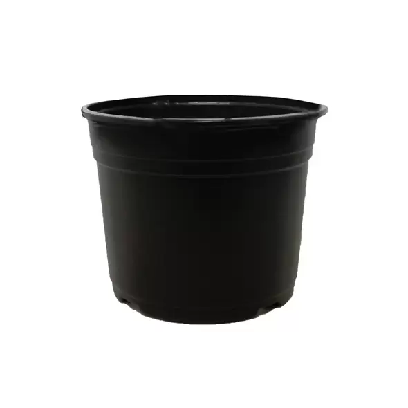 POPPELMANN VCD 16.5 AZALEA POT BLACK, 530 PER CASE, 16 CASES PER PALLET, 6-1/2" X 5", 2.04 qt (1.93 l)
