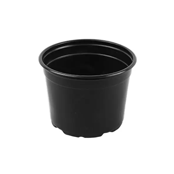 Grower Select 05.00 Coex Azalea Round Pot Black 1120/CS