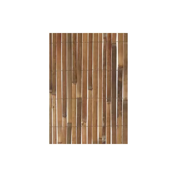 WSP 10'x6'6" Split Bamboo Fencing