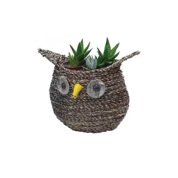 Gardener Select 10.5" Large Owl Rattan Rope Topiary 10/CS