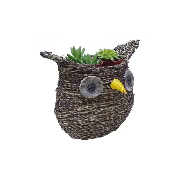 Gardener Select 9.5" Medium Owl Rattan Rope Topiary 12/CS
