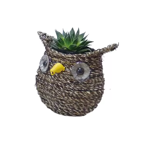 Gardener Select 7" Small Owl Rattan Rope Topiary 12/CS