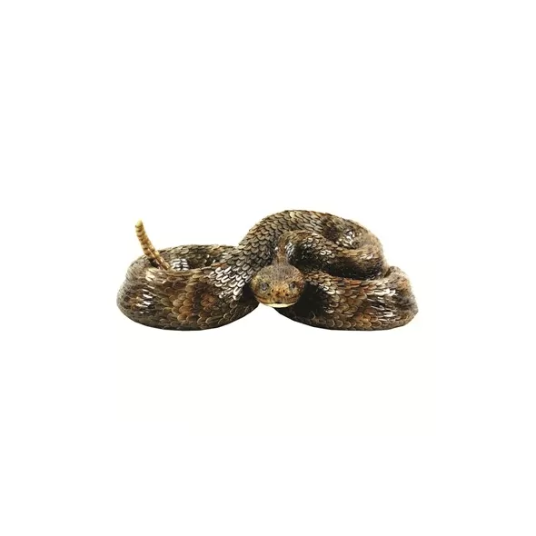 MCarr Western Diamond Back Small Snake