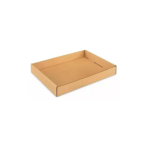 Gardener Select 9"x6"x2" Cardboard Carry Tray (3000/PL)