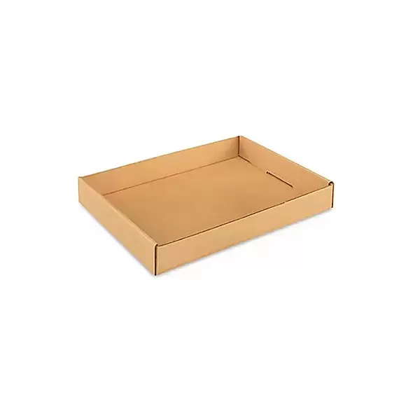 Gardener Select 18"x12"x2" Cardboard Carry Tray (1200/PL)