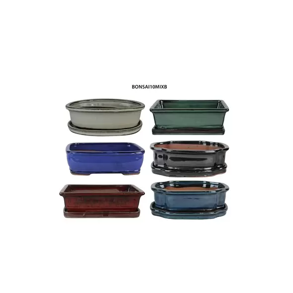 MCarr 6PC 10" Bonsai Planter Mixed Asst