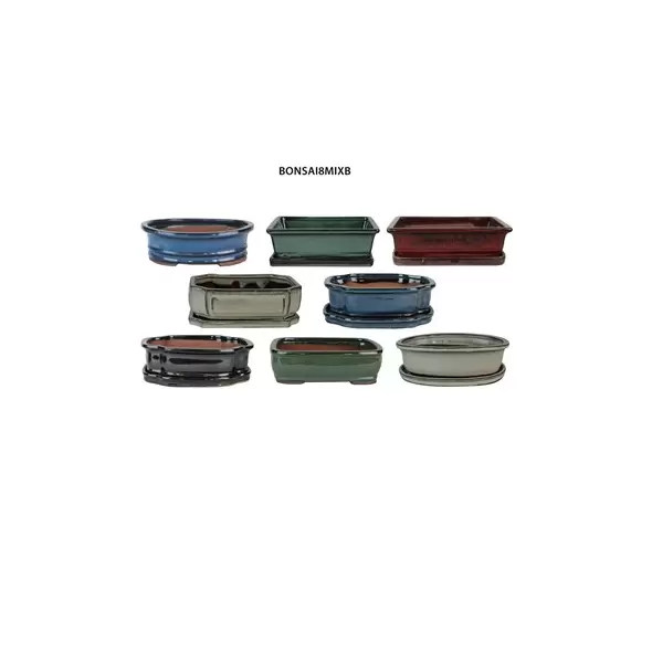 MCarr 8PC 8" Bonsai Planter Mixed Asst