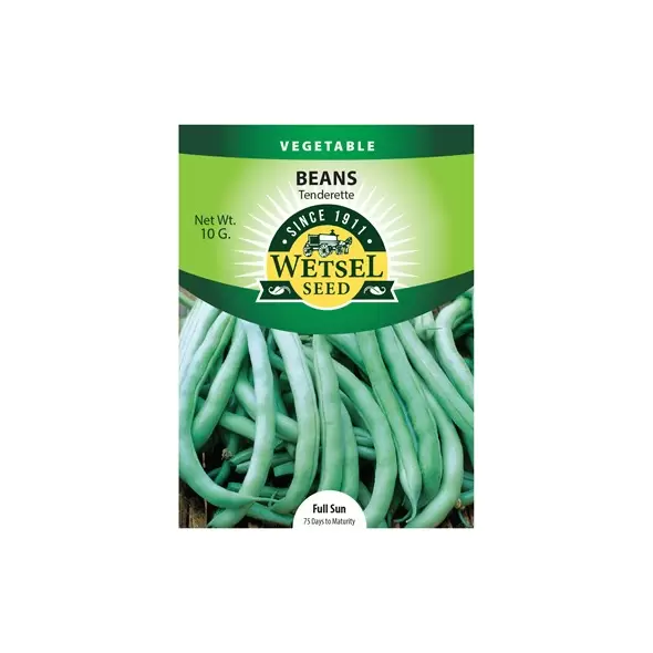 Beans, Tenderette Bush - 10 Gram