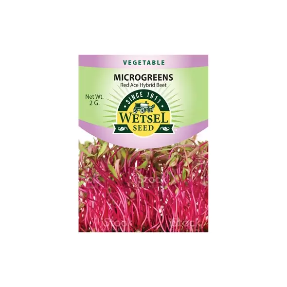 Microgreens, Red Ace Hybrid Beet - 2 Gram