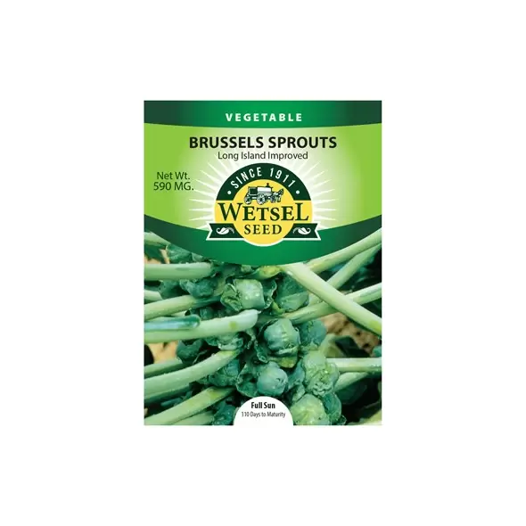 Brussel Sprouts, Long Island - 590 Mg