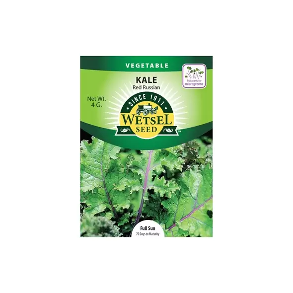 Kale, Red Russian Kale - 4g