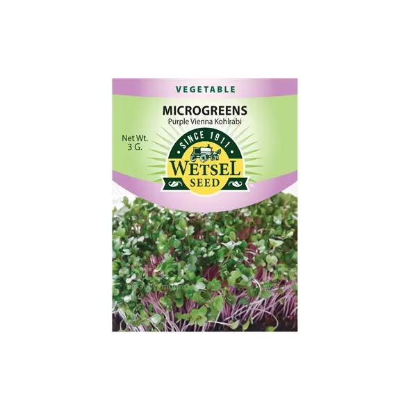 Microgreens, Kohlrabi, Purple Vienna - 3 Gram