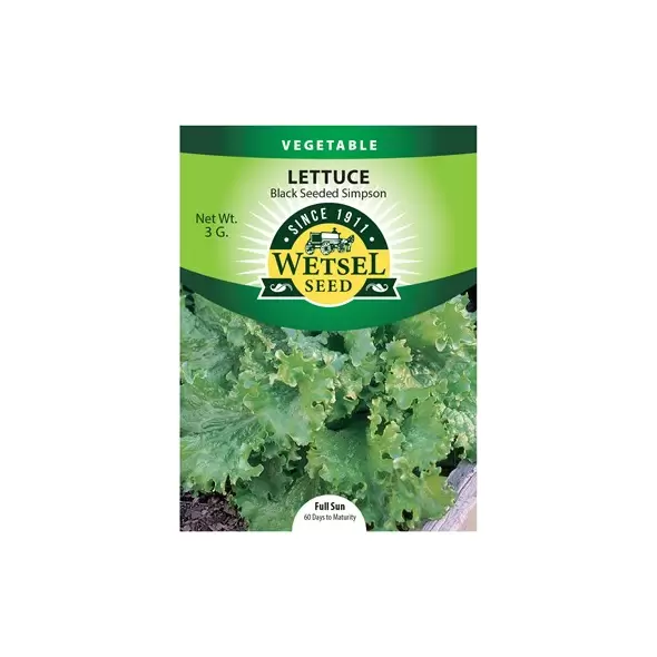 LETTUCE, BLK SEED SIMPSOM 3 G.