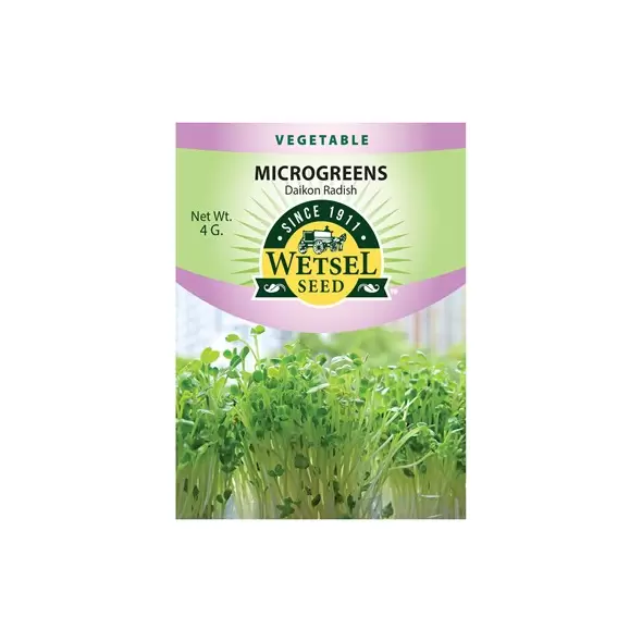 Microgreens, Daikon Radish - 4 Gram