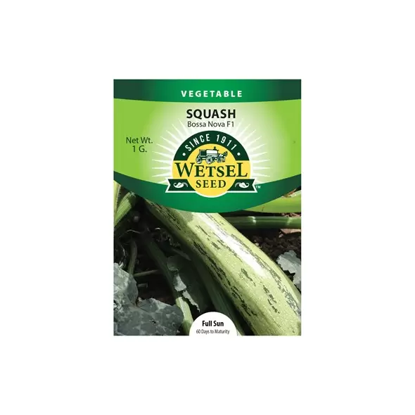 Squash, Bossa Nova 1g