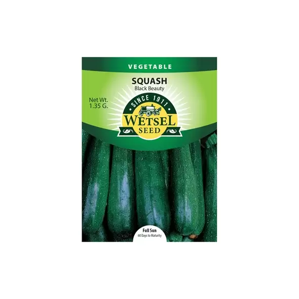 SQUASH, BLACK BEAUTY 1.35 G