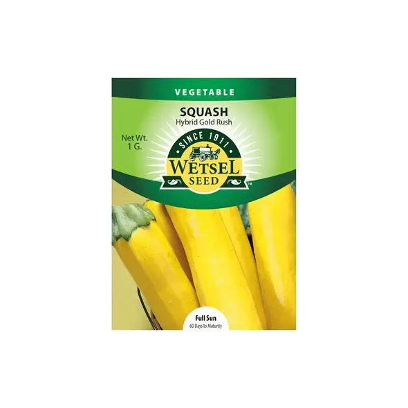 Squash, Gold Rush - 1 Gram