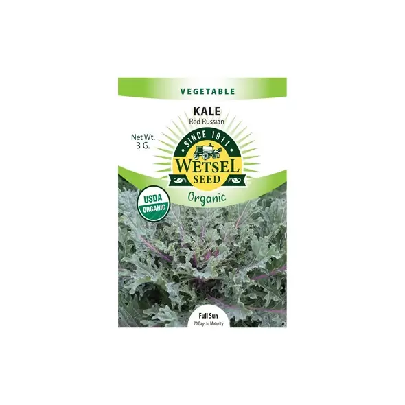 ORGANIC RED RUSSIAN KALE 3G PKT