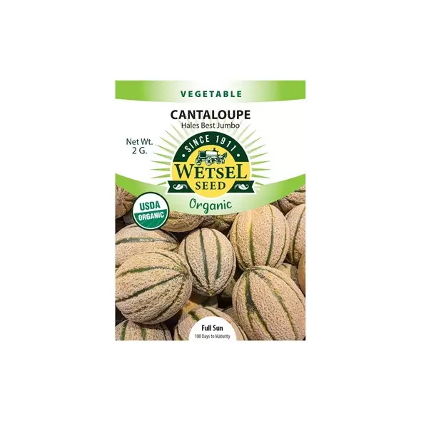 ORGANIC HALE BEST Cantaloupe 2G PKT