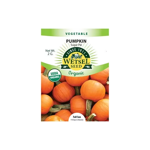 Organic Sugar Pie Pumpkin - 2 Gram