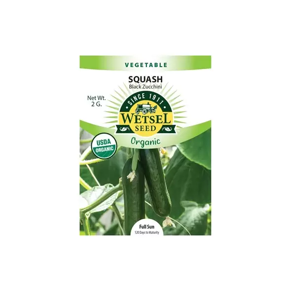 Organic Black Zucchini Squash - 2 Gram