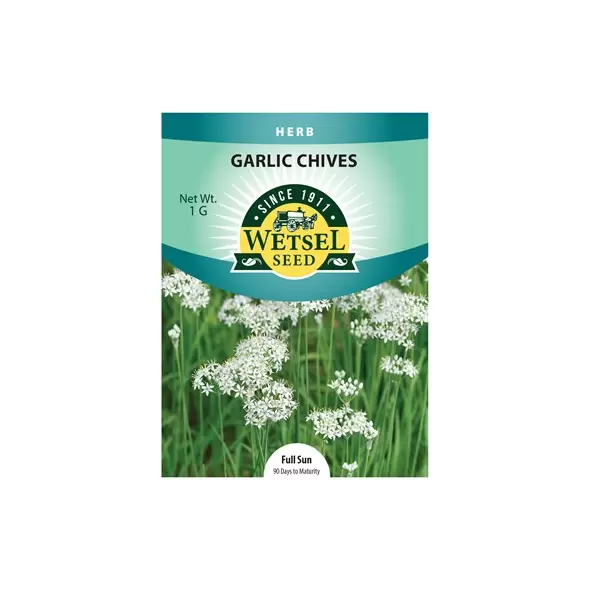 Garlic Chives - 1 Gram