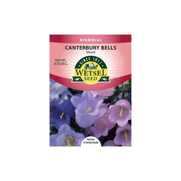 CANTERBURY BELLS 470 MG