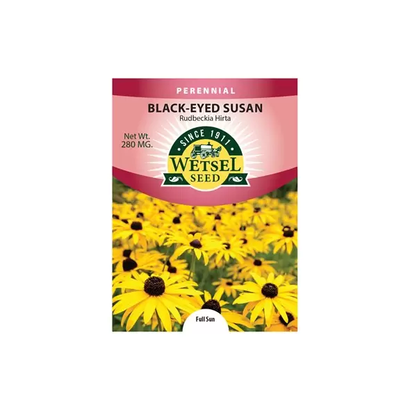 DAISY, RUDBECKIA HIRTA 280 MG