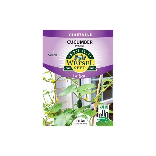Cucumber, Peticue (patio) - 10 Seeds
