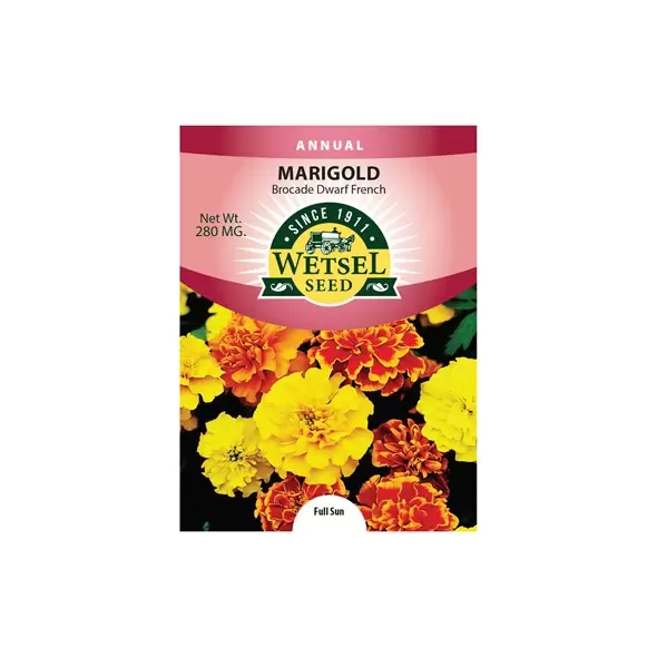 MARIGOLDS, DWARF FRENCH 280 MG