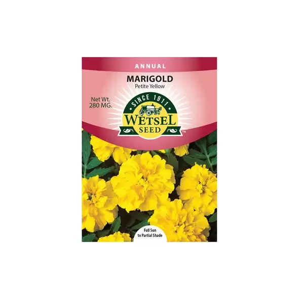 MARIGOLDS, PETITE YELLO 280 MG