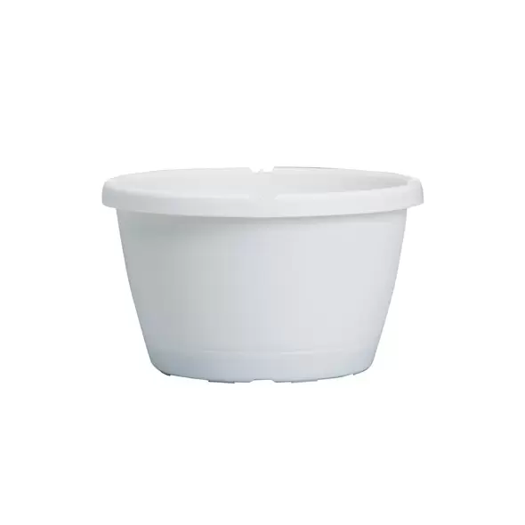 ITML HTS1200 12.00 TRAD SL HP & DIVIDER WHT 50/CS