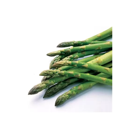 Asparagus, Jersey Knight - 25/Bundle