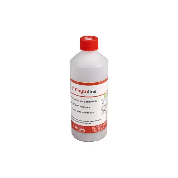 Phytoseiulus persimilis 20,000 per shaker bottle ( Spider Mite )