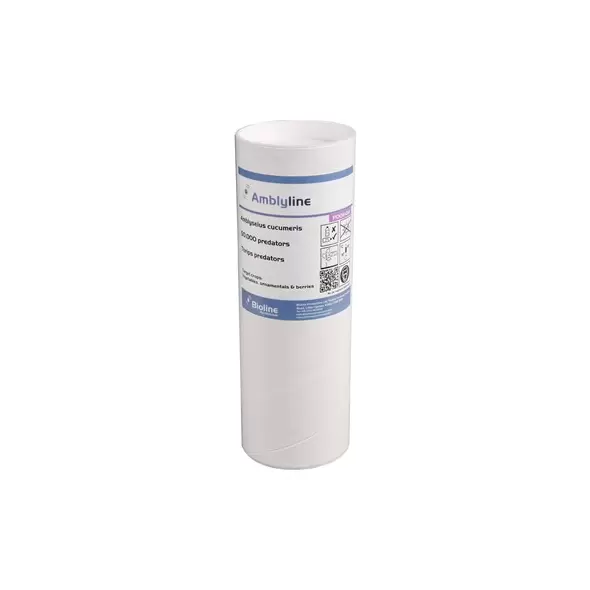 Amblyseius ( Neoseiulus ) cucumeris 50,0, 1 liter tube, bran/vermiculite carrier ( Thrips )